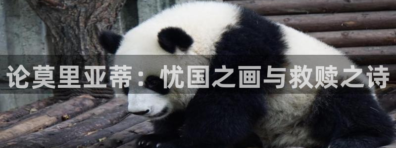 香蕉漫画网页版：论莫里亚蒂：忧国之画与救赎之诗